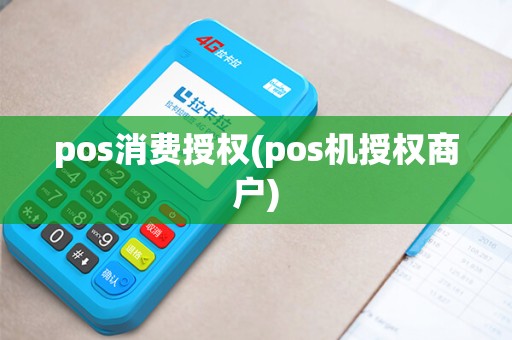pos消费授权(pos机授权商户)