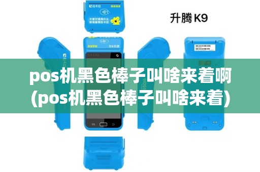 pos机黑色棒子叫啥来着啊(pos机黑色棒子叫啥来着)