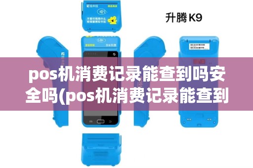 pos机消费记录能查到吗安全吗(pos机消费记录能查到吗)
