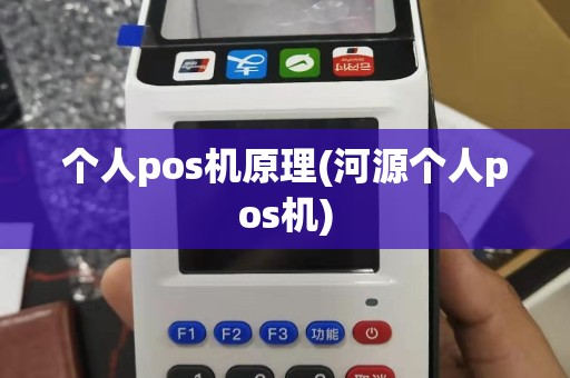 个人pos机原理(河源个人pos机)