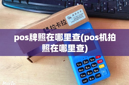 pos牌照在哪里查(pos机拍照在哪里查)