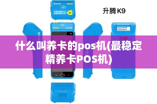 什么叫养卡的pos机(最稳定精养卡POS机)