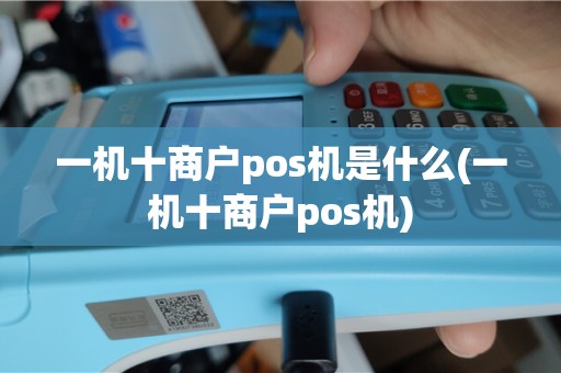 一机十商户pos机是什么(一机十商户pos机)
