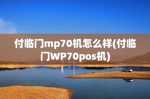 付临门mp70机怎么样(付临门WP70pos机)