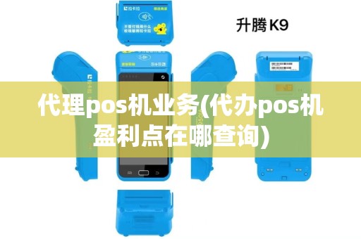 代理pos机业务(代办pos机盈利点在哪查询)