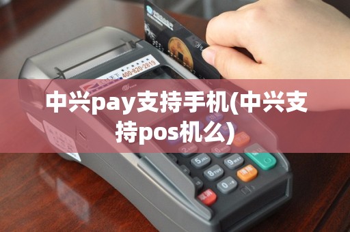 中兴pay支持手机(中兴支持pos机么)