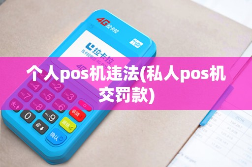 个人pos机违法(私人pos机交罚款)