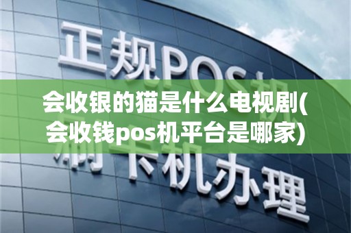 会收银的猫是什么电视剧(会收钱pos机平台是哪家)