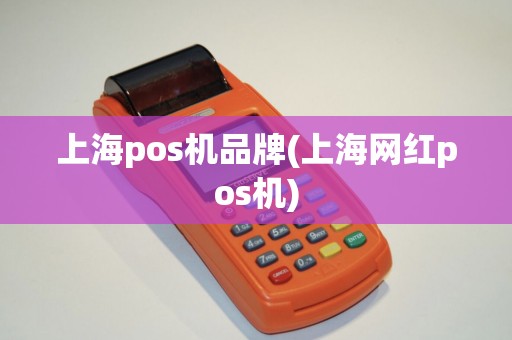 上海pos机品牌(上海网红pos机)