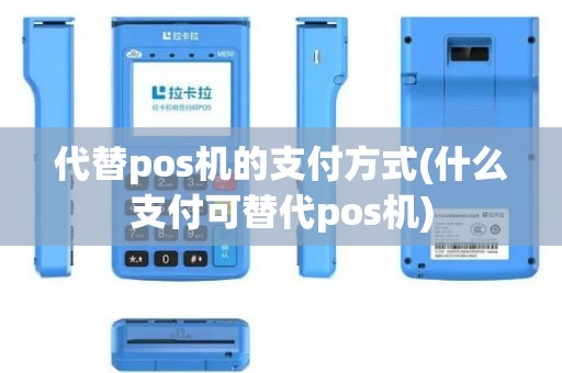 代替pos机的支付方式(什么支付可替代pos机)
