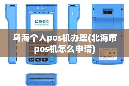 乌海个人pos机办理(北海市pos机怎么申请)