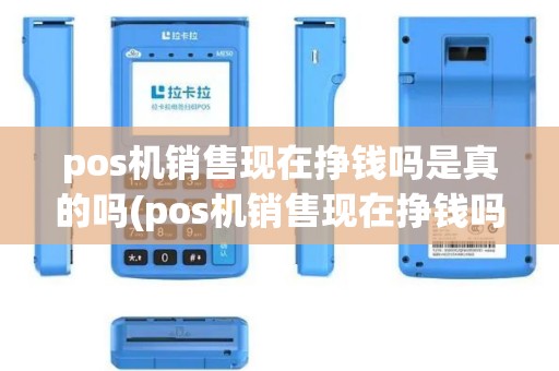 pos机销售现在挣钱吗是真的吗(pos机销售现在挣钱吗)