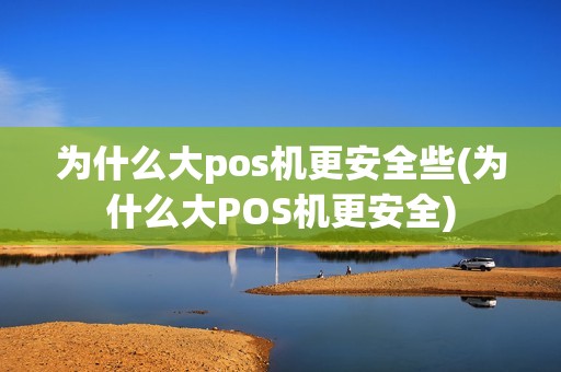 为什么大pos机更安全些(为什么大POS机更安全)