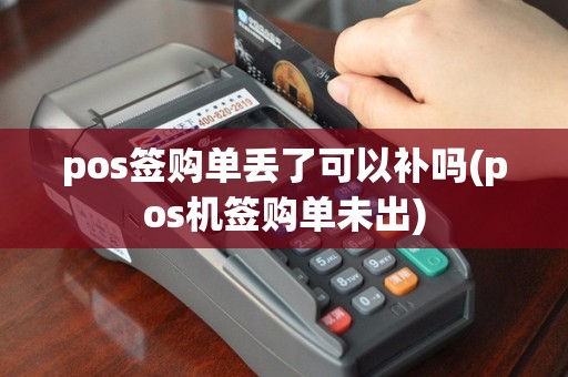 pos签购单丢了可以补吗(pos机签购单未出)