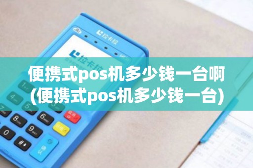 便携式pos机多少钱一台啊(便携式pos机多少钱一台)