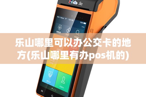 乐山哪里可以办公交卡的地方(乐山哪里有办pos机的)