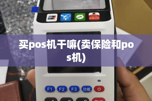 买pos机干嘛(卖保险和pos机)