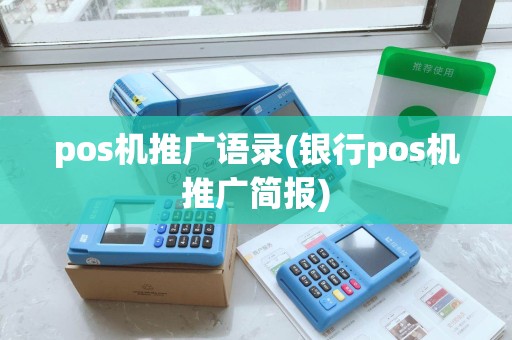 pos机推广语录(银行pos机推广简报)
