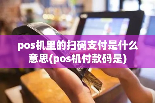 pos机里的扫码支付是什么意思(pos机付款码是)