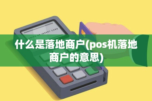 什么是落地商户(pos机落地商户的意思)