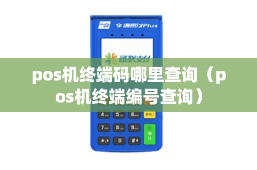 pos机终端码哪里查询（pos机终端编号查询）