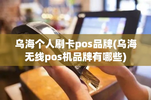 乌海个人刷卡pos品牌(乌海无线pos机品牌有哪些)