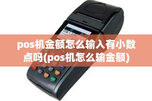 pos机金额怎么输入有小数点吗(pos机怎么输金额)