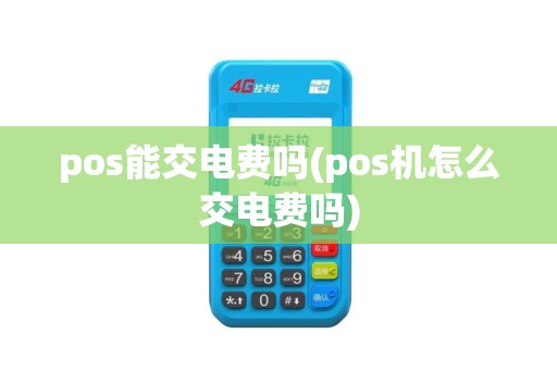 pos能交电费吗(pos机怎么交电费吗)