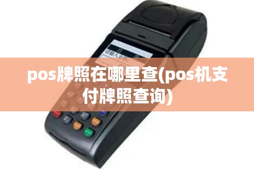 pos牌照在哪里查(pos机支付牌照查询)