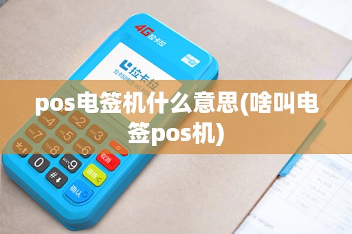 pos电签机什么意思(啥叫电签pos机)