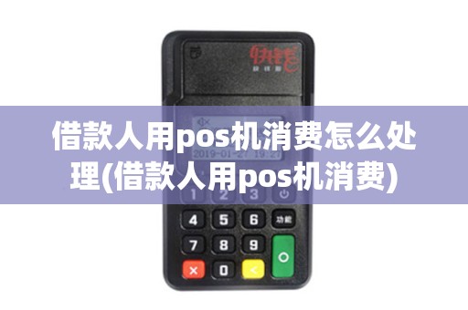 借款人用pos机消费怎么处理(借款人用pos机消费)