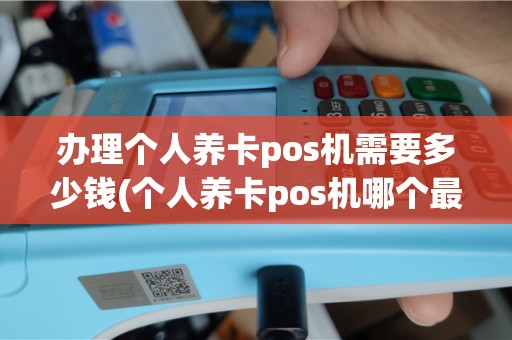 办理个人养卡pos机需要多少钱(个人养卡pos机哪个最好)