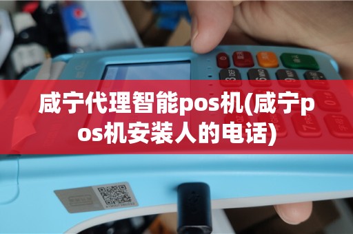 咸宁代理智能pos机(咸宁pos机安装人的电话)