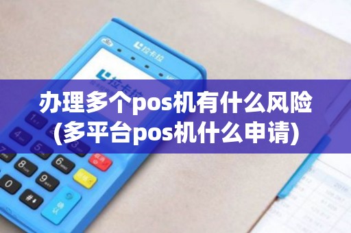 办理多个pos机有什么风险(多平台pos机什么申请)