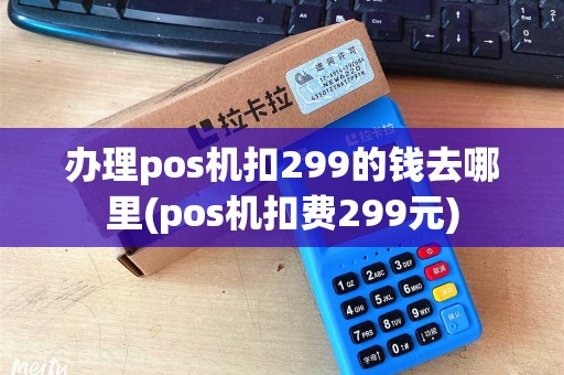 办理pos机扣299的钱去哪里(pos机扣费299元)