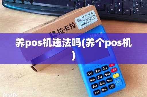 养pos机违法吗(养个pos机)