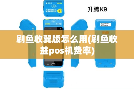 刷鱼收翼版怎么用(刷鱼收益pos机费率)