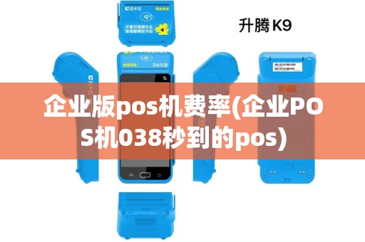 企业版pos机费率(企业POS机038秒到的pos)