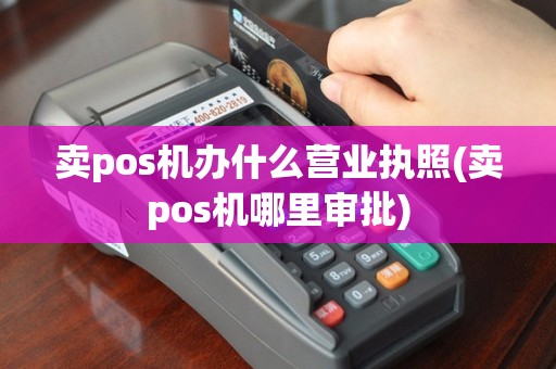 卖pos机办什么营业执照(卖pos机哪里审批)