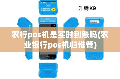 农行pos机是实时到账吗(农业银行pos机归谁管)