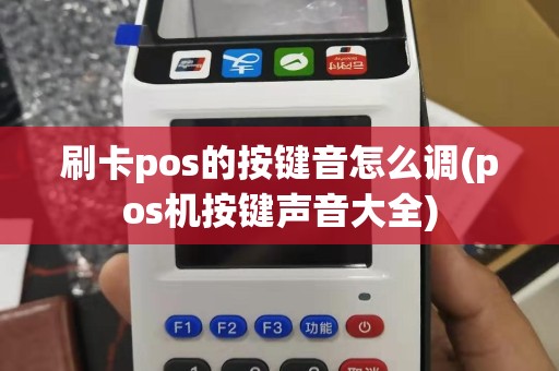 刷卡pos的按键音怎么调(pos机按键声音大全)