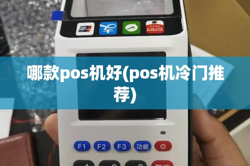 哪款pos机好(pos机冷门推荐)
