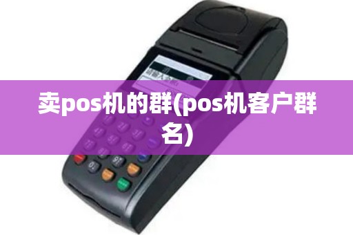 卖pos机的群(pos机客户群名)