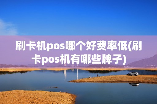 刷卡机pos哪个好费率低(刷卡pos机有哪些牌子)