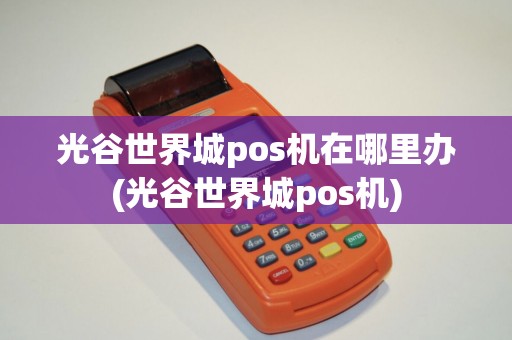 光谷世界城pos机在哪里办(光谷世界城pos机)