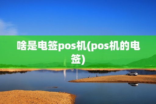 啥是电签pos机(pos机的电签)